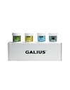 SOLID GALIUS MASSAGE OIL SAMPLES 20ML